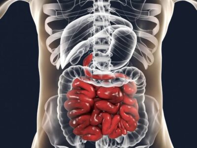 Kompendium nowotworów przewodu pokarmowego